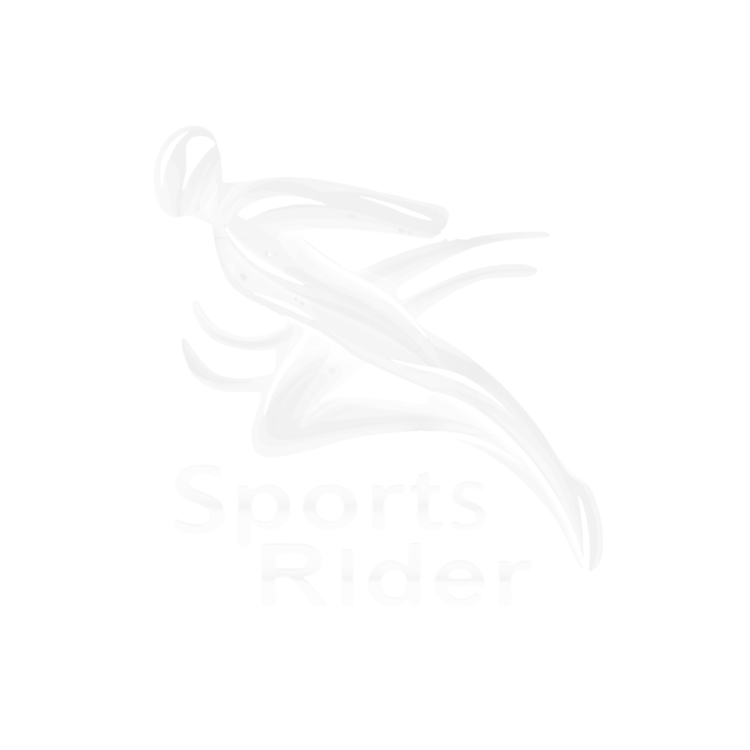 Sports Rider